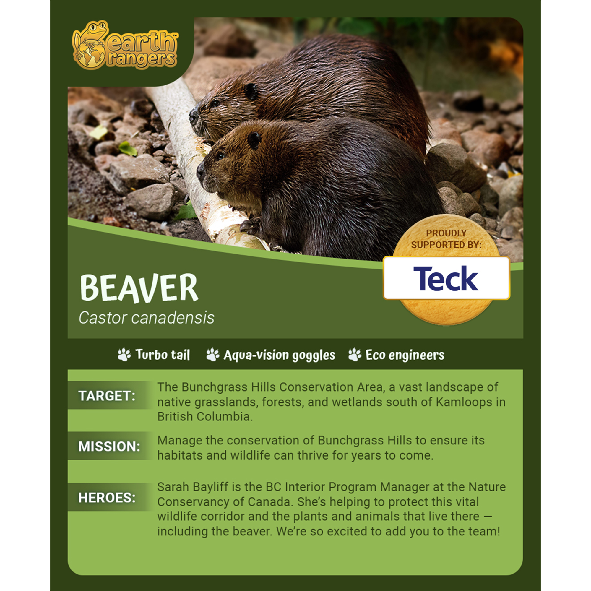 Beaver Adoption Kit