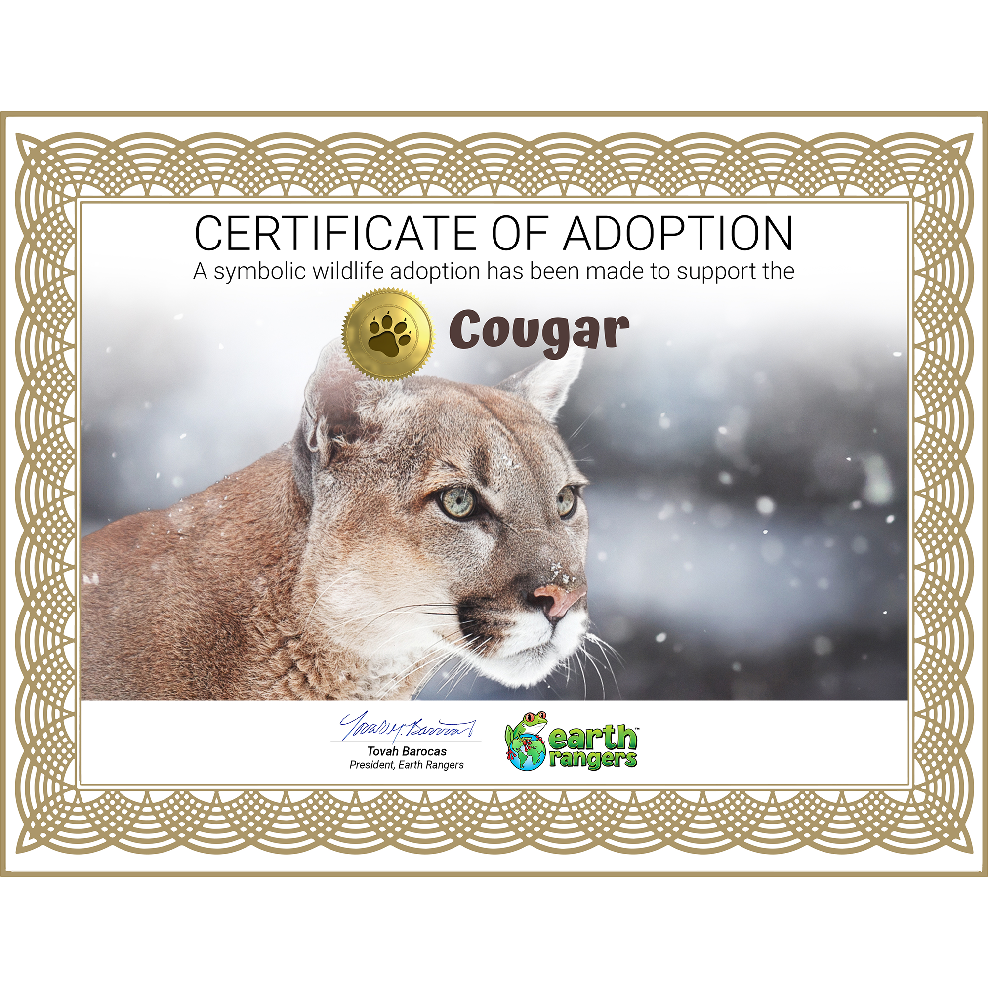 Cougar Adoption Kit