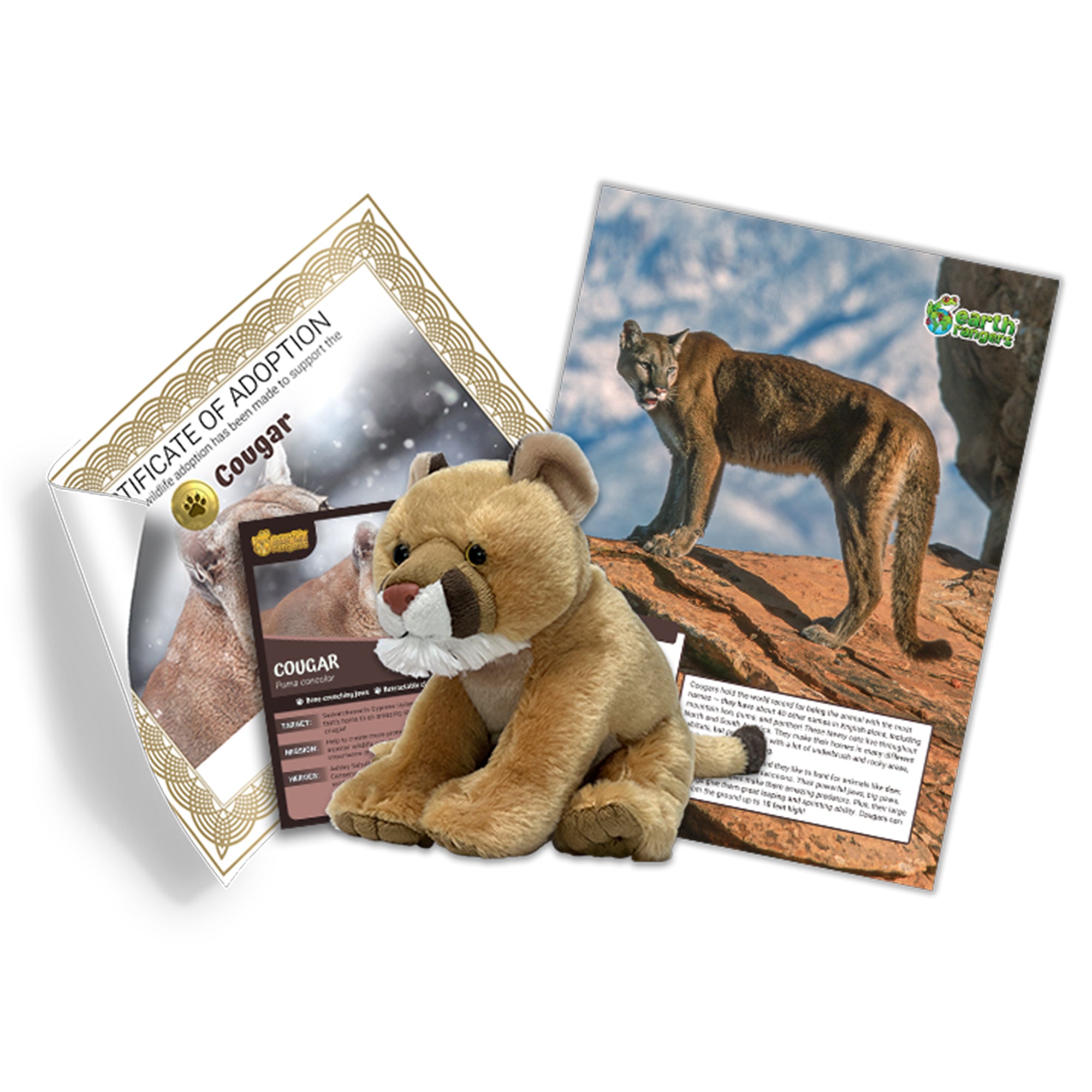 Cougar Adoption Kit