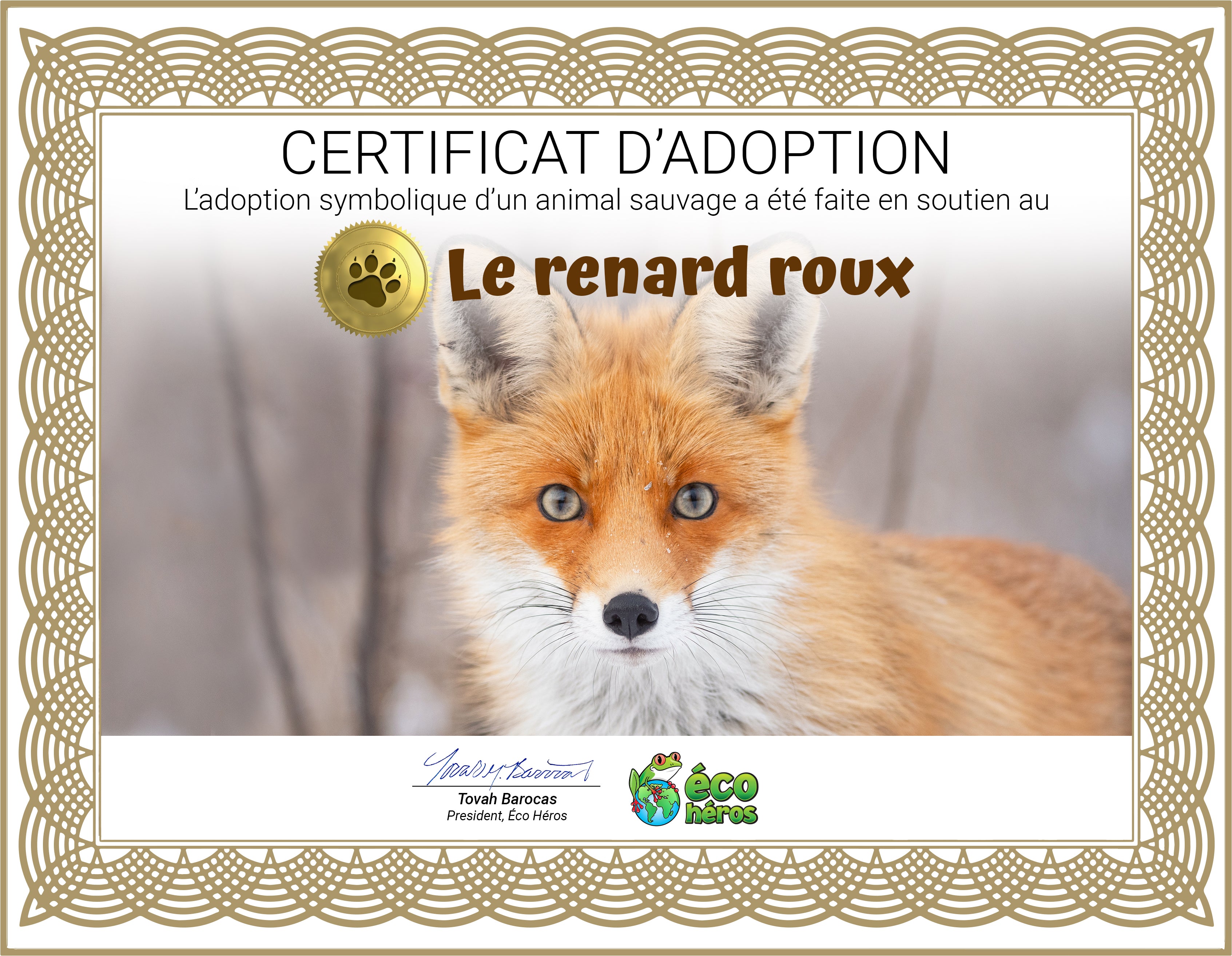 Ensemble d’adoption de renard roux – Peluche