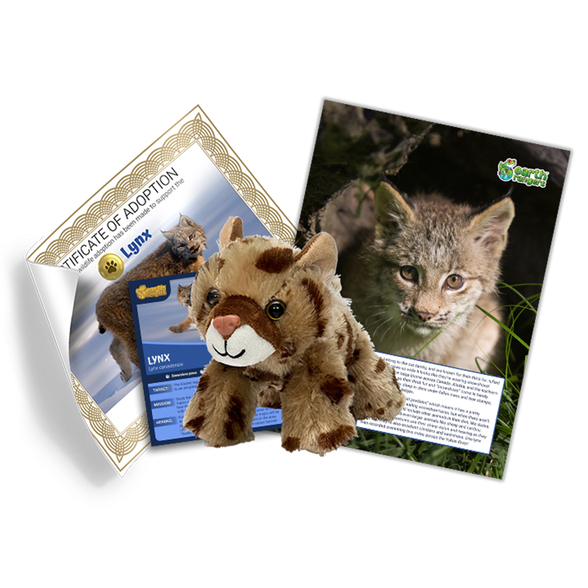 Lynx Adoption Kit 