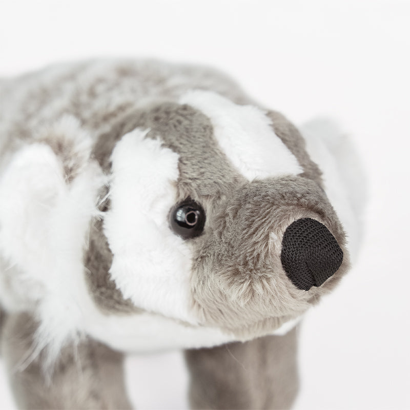 American Badger Adoption Kit 