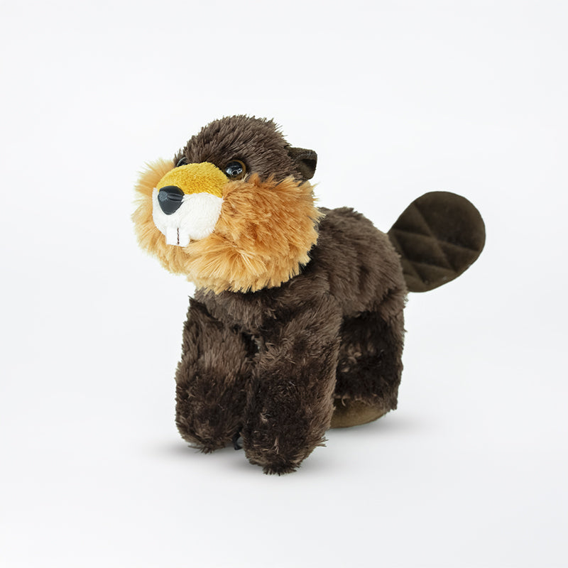 Ensemble d’adoption du castor - Peluche