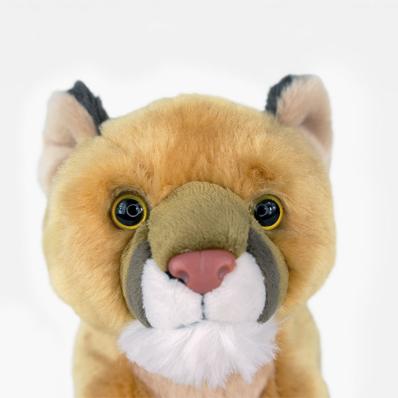 Ensemble d’adoption du cougar - Peluche