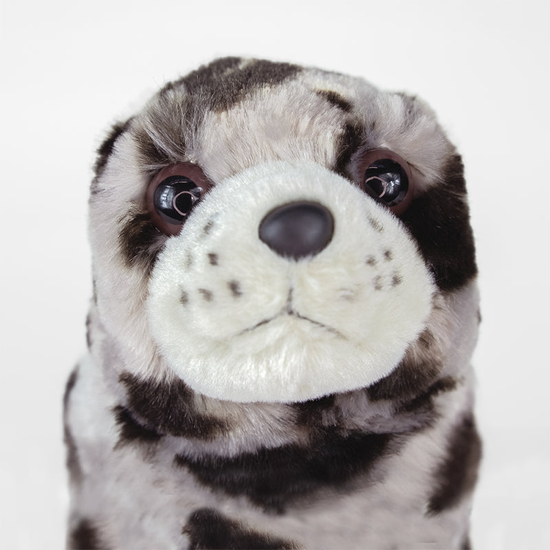 Harbor Seal Adoption Kit