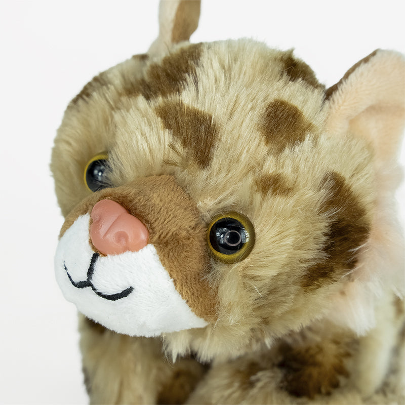 Ensemble d’adoption du lynx du Canada - Peluche