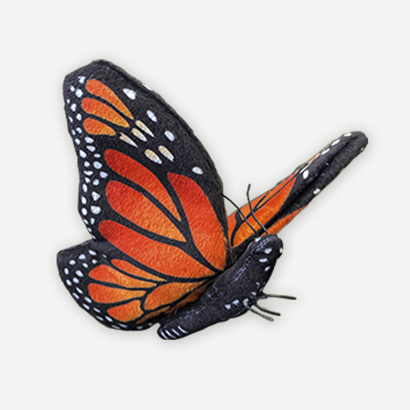 Monarch Butterfly Adoption Kit