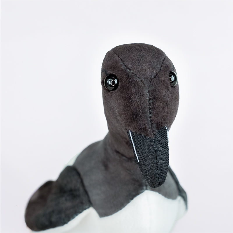 Thick-billed Murre Adoption Kit 