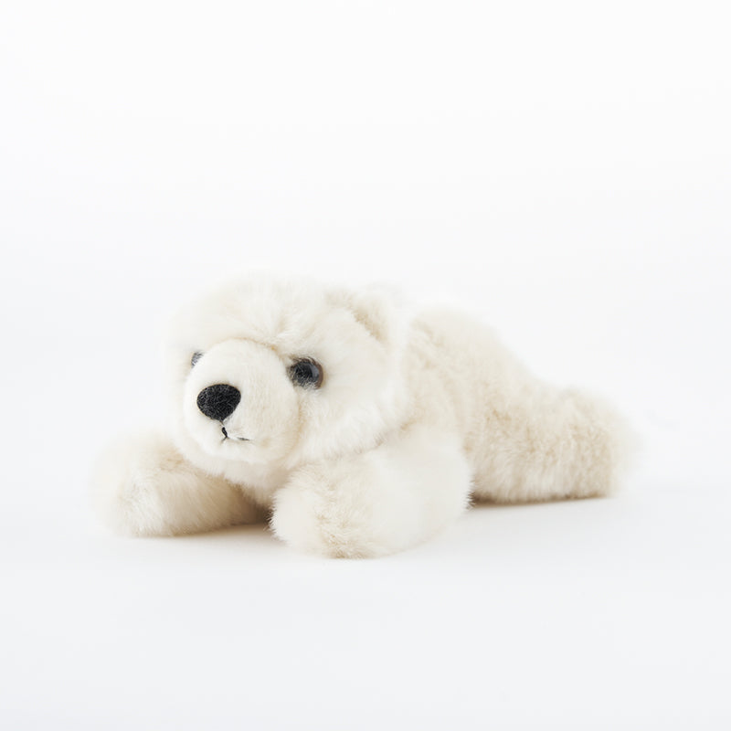 Polar Bear Adoption Kit