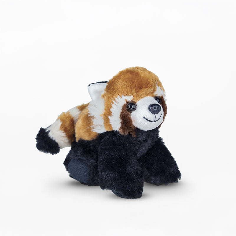 Red Panda Adoption Kit 