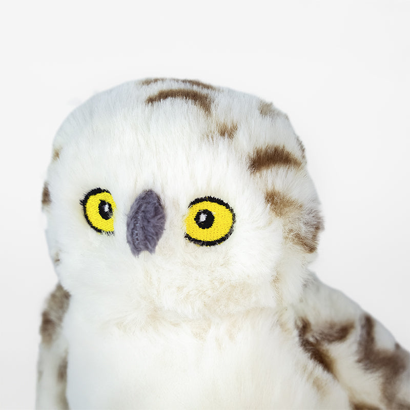 Snowy Owl Adoption Kit