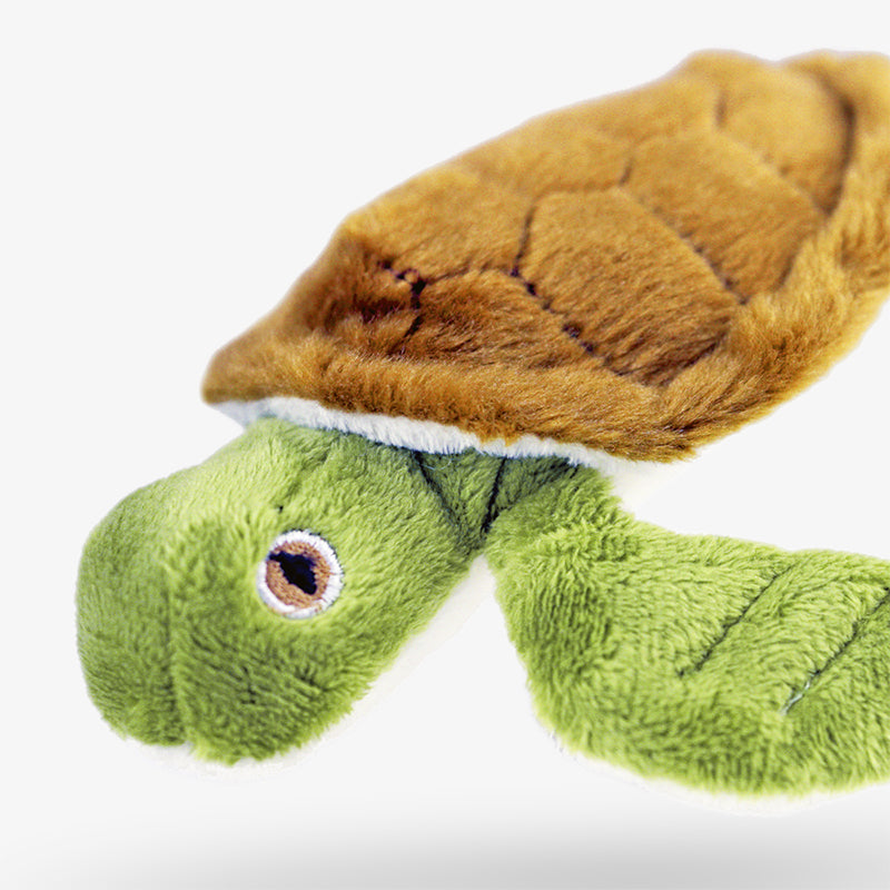 Ensemble d’adoption de la tortue marine - Peluche