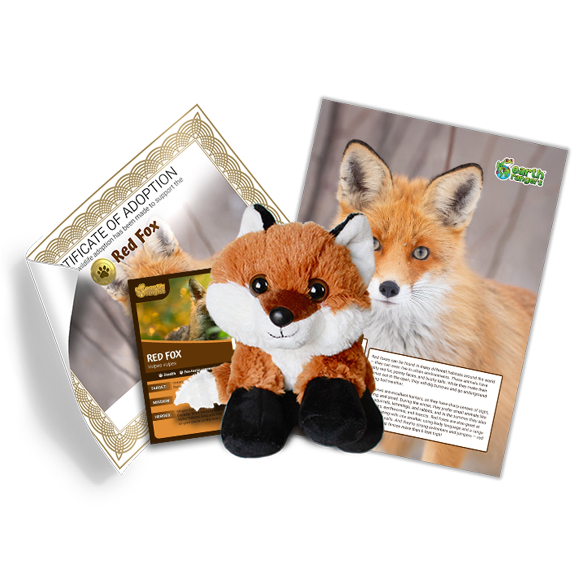 Red Fox Adoption Kit 