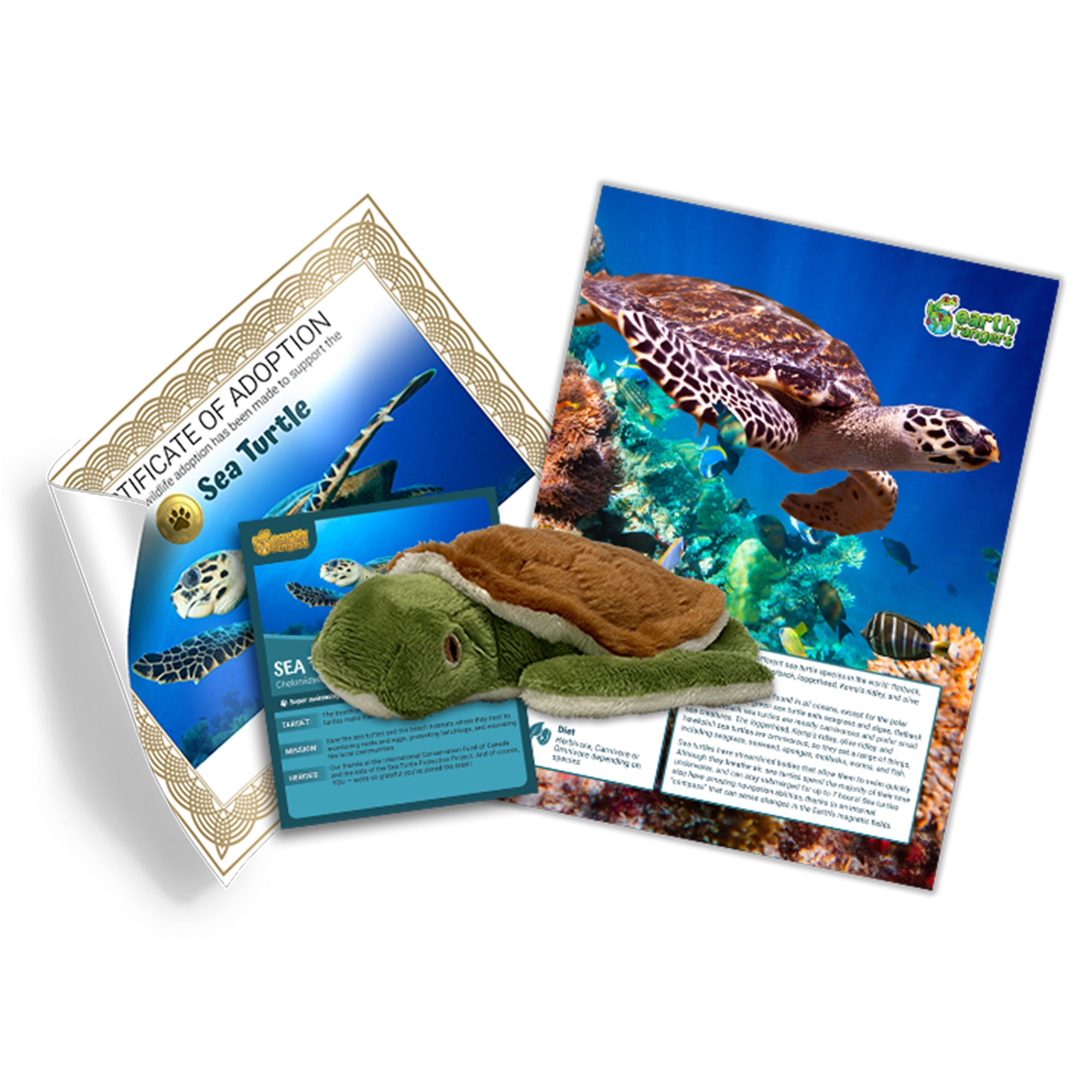 Sea Turtle Adoption Kit